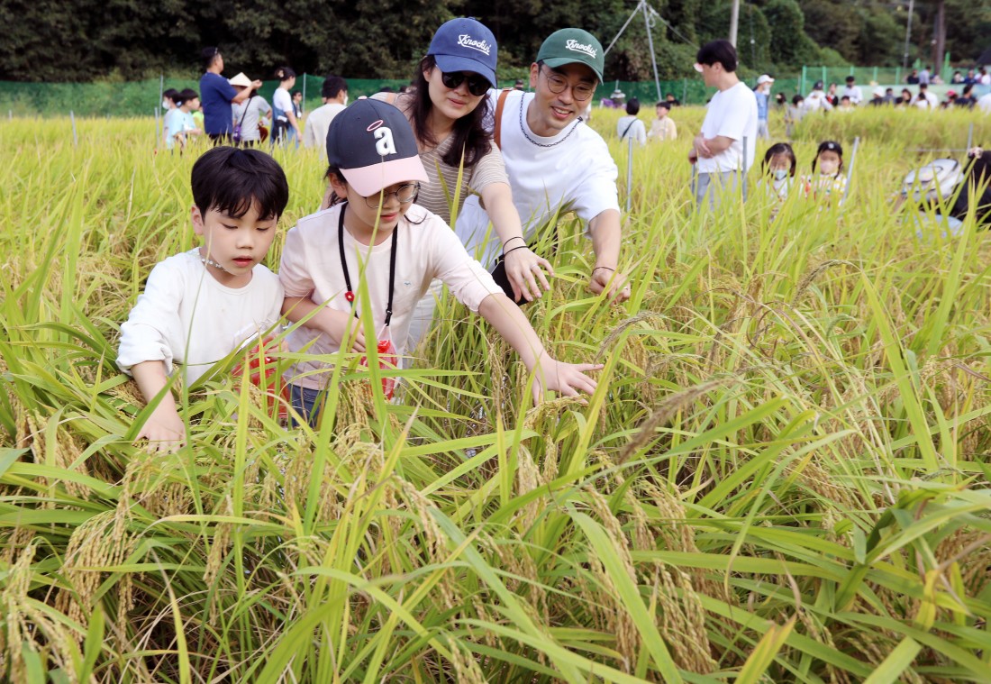2022 와일드앤로컬푸드축제 메뚜기 체험
