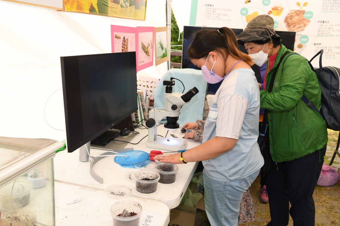 2022 곤충체험