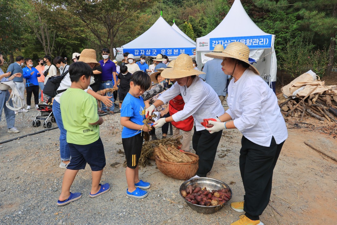 2022 감자삼굿
