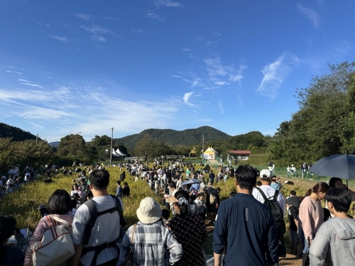 2024 메뚜기잡기체험