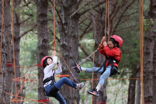 2024 트리익스트림