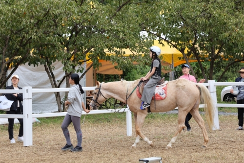 2024 말타기체험